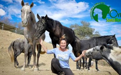 Asociación y Albergue CYD Santa María