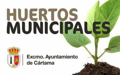 Huertos urbanos en Estación de Cártama