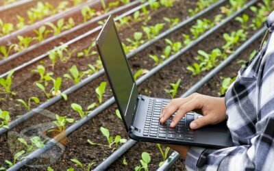 Modernización agricultura de regadío en Coín