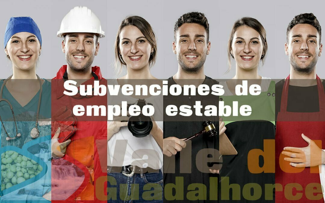 Subvenciones de empleo estable