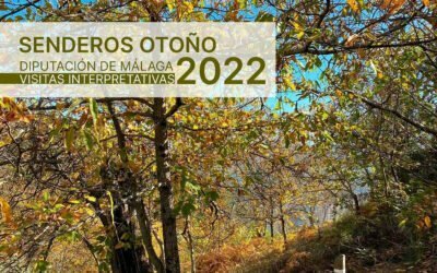 Visitas interpretativas de los senderos de otoño 2022