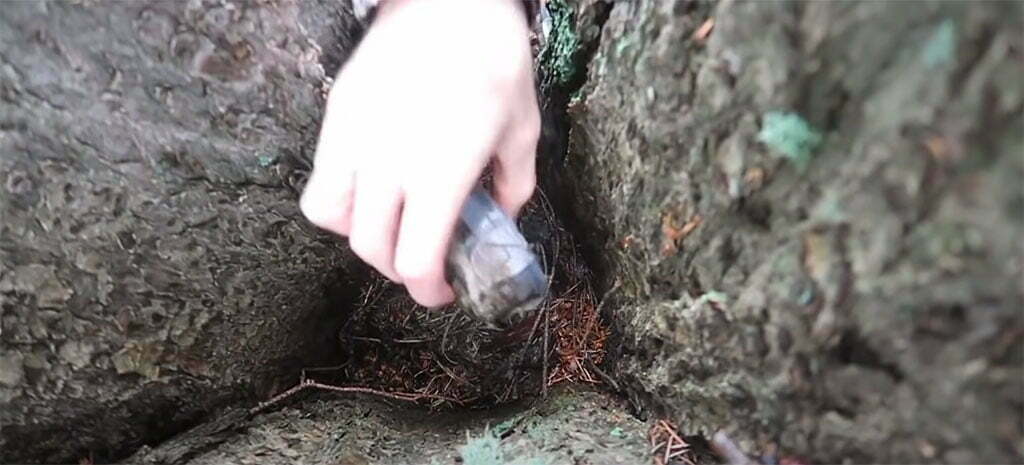 un cache puede estar entre las piedras