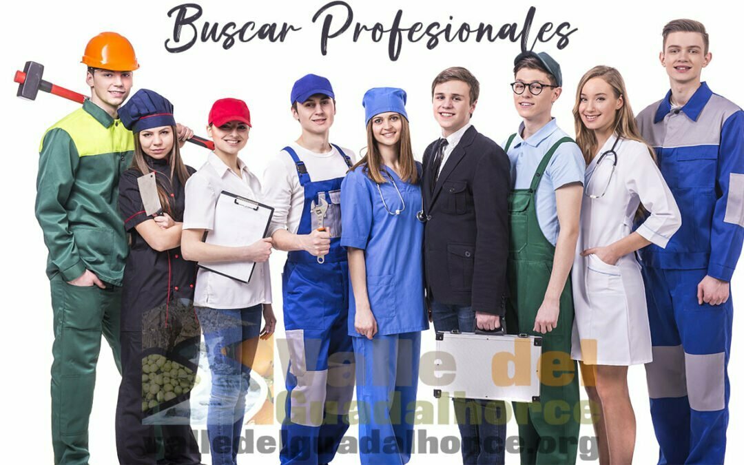 Buscar profesionales