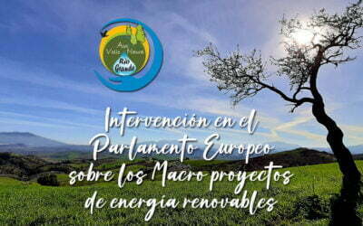 Macro proyectos de energía renovables en el Valle del Guadalhorce