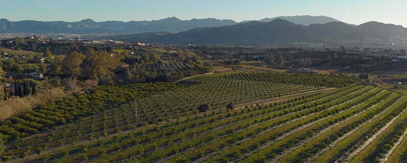 Fincas rústicas en Valle del Guadalhorce provincia de Málaga