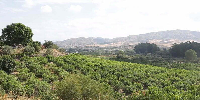 Patrimonio agrícola del Valle del Guadalhorce