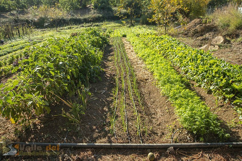 agricultura ecológica Málaga