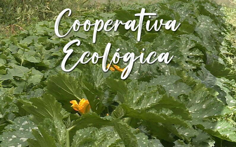 cooperativa ecológica guadalhorce