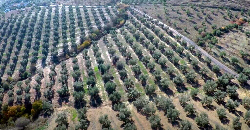 fincas rústicas en Málaga