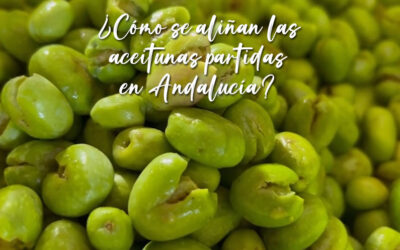 ¿Cómo se aliñan las aceitunas partidas en Andalucía?