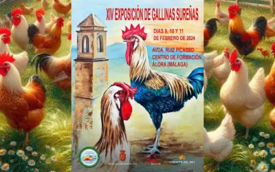 XIII Exposición de Gallinas Sureñas en Álora 2024