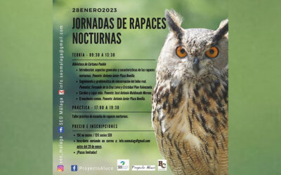 Jornada sobre aves rapaces nocturnas en Cártama