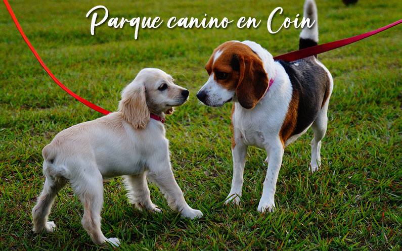 Parque canino en Coín