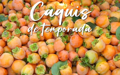 Consigue los mejores beneficios de los caquis de temporada