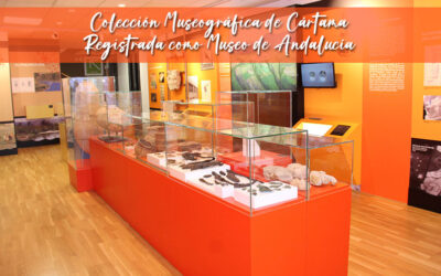 Colección Museográfica de Cártama se convierte en Museo de Andalucía