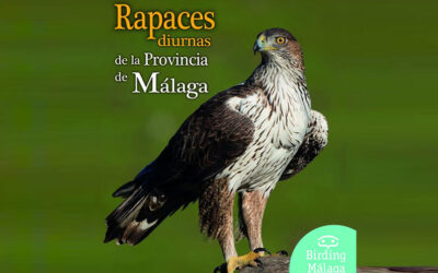 Rapaces diurnas de la provincia de Málaga