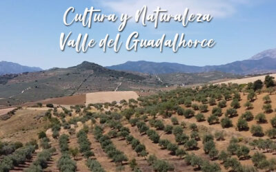 Descubriendo la naturaleza del Valle del Guadalhorce: ¡Una Experiencia Única en España!