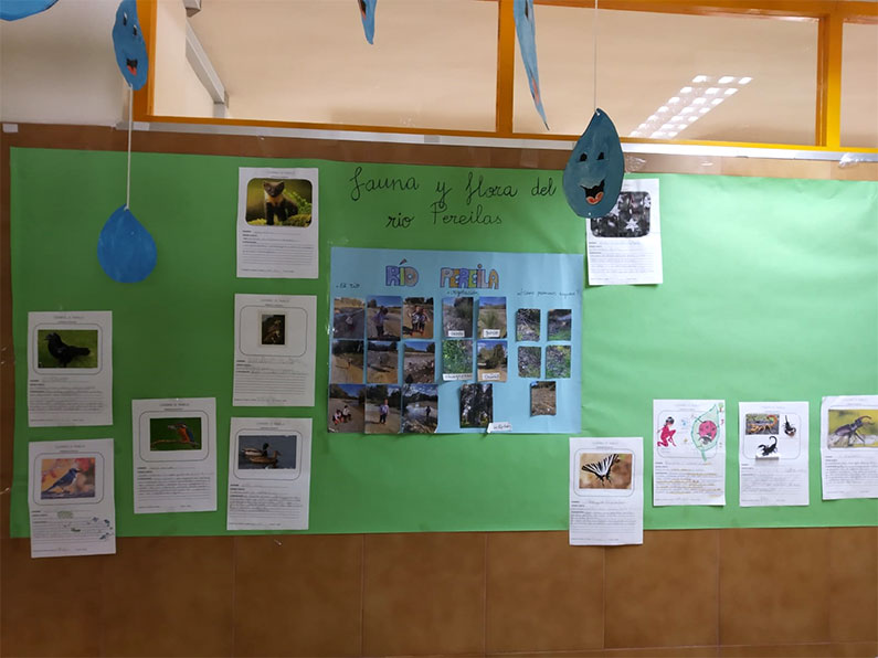 Fauna y flora de Río Pereilas - Colegio Huertas Viejas