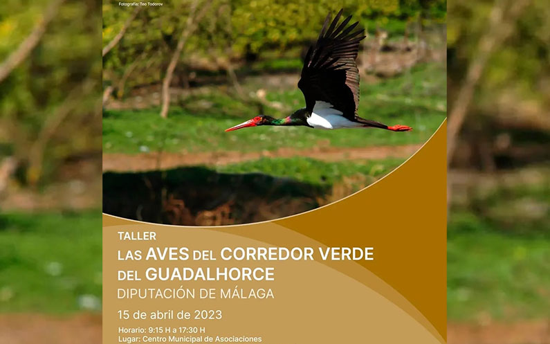 taller aves del Corredor Verde del Guadalhorce