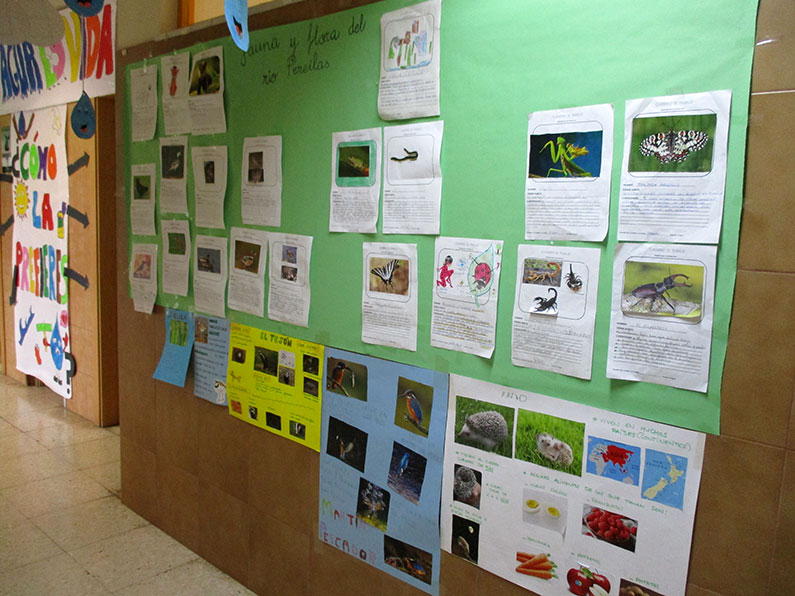 Trabajos sobre el agua de los alumnos y alumnas de Huertas Viejas