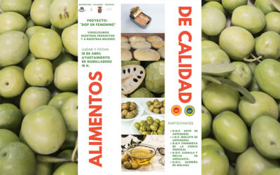 DOP en femenino con la presencia de la Aceituna Aloreña