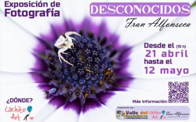 Exposición de Fran Alfonseca Ramos en Galería Cachito Art de Coín
