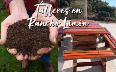 Talleres sobre cómo hacer compostaje y fabricar muebles reciclados en Rancho Limón