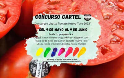 Participa en el diseño del cartel anunciador del Concurso subasta Tomate Huevo Toro 2023