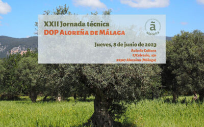 Jornada Técnica de la DOP Aloreña de Málaga