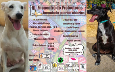 VI Encuentro de Protectoras de animales en Málaga