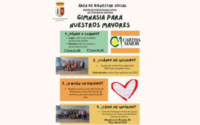 Clases de gimnasia en Cártama: ¡Ponte en movimiento!