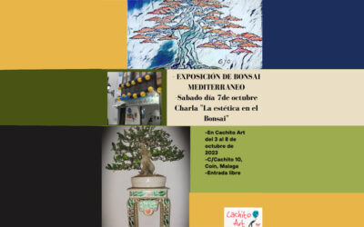 Exposición de Bonsai Mediterráneo en Coín