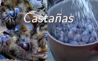 Castañas: Recetas fáciles y puestos de venta en el Valle del Guadalhorce
