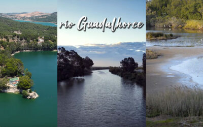 Río Guadalhorce: Una joya natural de Málaga, Andalucía