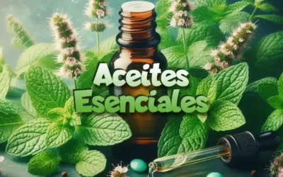 Qué es y cómo se extrae el aceite esencial: métodos y beneficios naturales