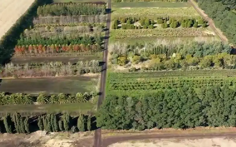 vivero de plantas en el Valle del Guadalhorce