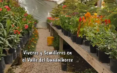 Viveros y semilleros en el Valle del Guadalhorce: una guía completa para los amantes de la jardinería