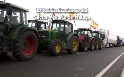 10 Reivindicaciones del Sector Agrario de Málaga