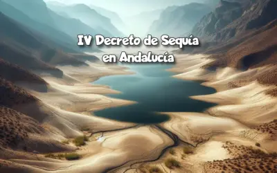 IV Decreto de Sequía en Andalucía