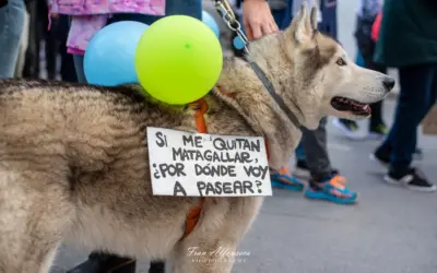 Éxito de la manifestación “Salvemos Matagallar” en Coín – 5000 asistentes