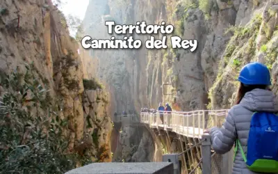 Territorio Caminito del Rey: Naturaleza y Aventura en el Valle del Guadalhorce