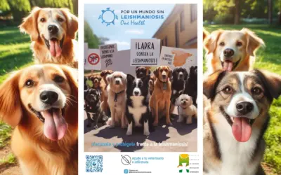 Prevención de la Leishmaniosis del Consejo Andaluz de Colegios de Veterinarios
