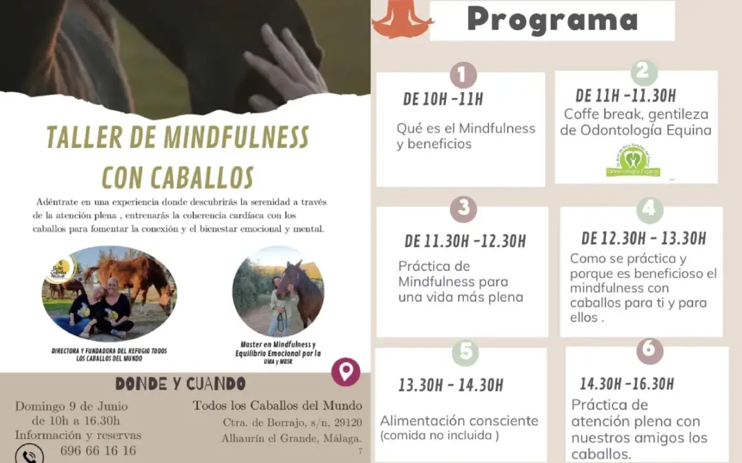 Taller benéfico de mindfulness con caballos