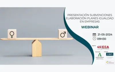 Webinar sobre planes de igualdad en Málaga: Subvenciones y oportunidades