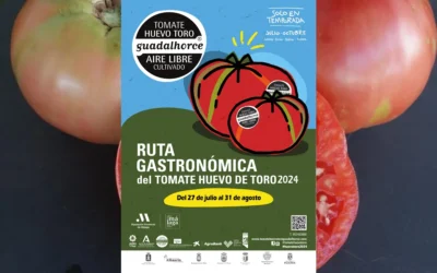 Programa de actividades para el Tomate Huevo Toro en 2024