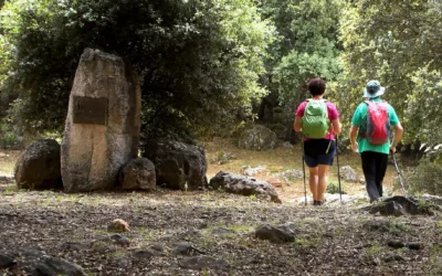 Mantenimiento de 553 kilómetros de senderos de gran recorrido en Málaga: Preservando la belleza natural