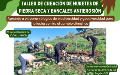 Taller de creación de muretes de piedra seca y bancales antierosión