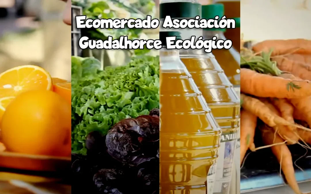 Ecomercado Asociación Guadalhorce Ecológico