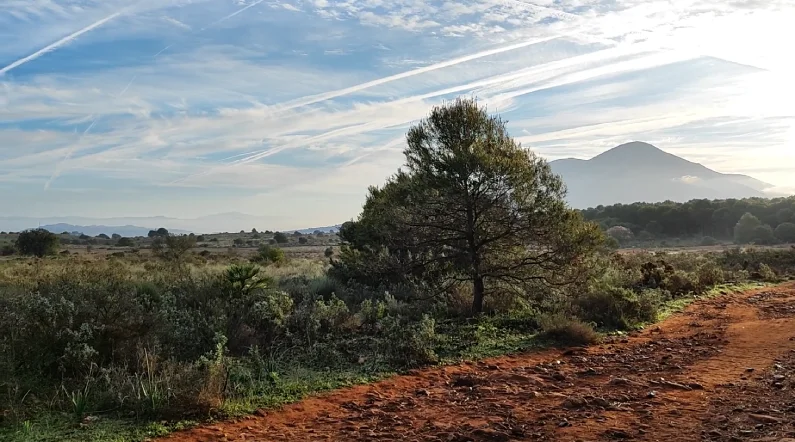 Matagallar sobre la amenaza al acuífero de Coín