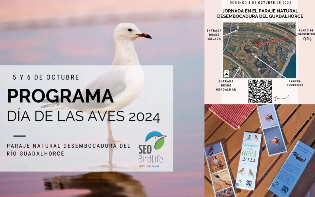 Programa Día de las Aves 2024